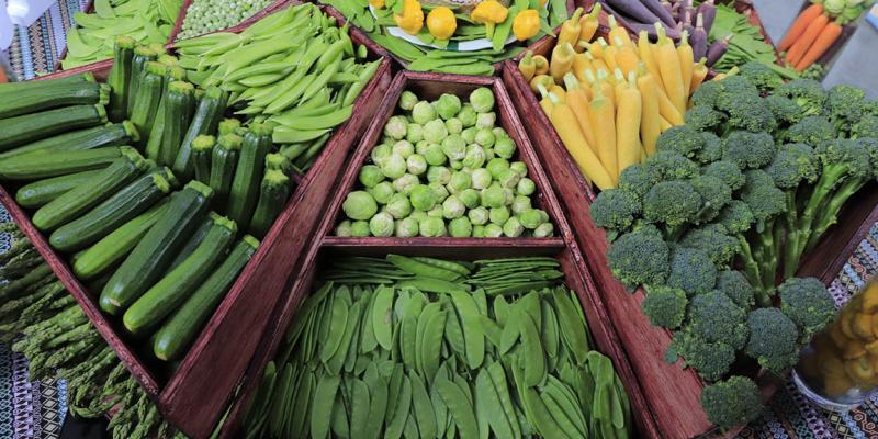 Conozca los alimentos protectores