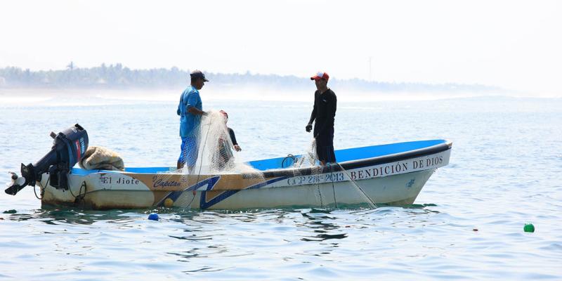 Conozca qué son las vedas de pesca