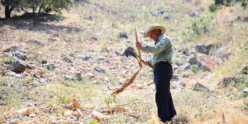 Prevengamos los incendios forestales con buenas prácticas agrícolas