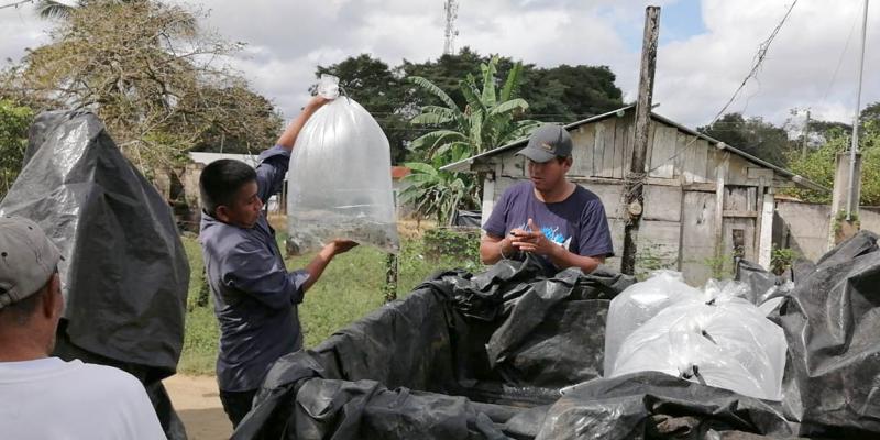 Entregan más de 29 mil alevines a productores de Petén