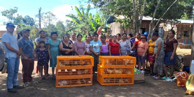 Fomentan la producción avícola en familias peteneras 