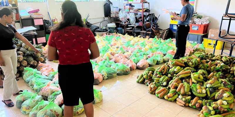 Fortalecen participación de pequeños productores en el Programa de Alimentación Escolar