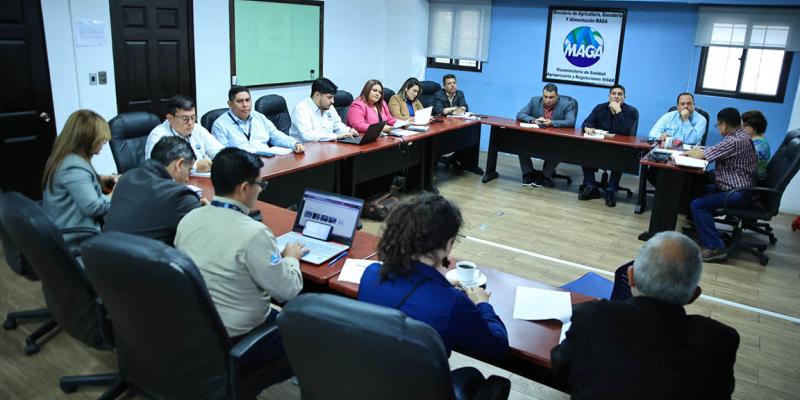 Fortalecen prevención del ingreso de enfermedades que afectan a las musáceas