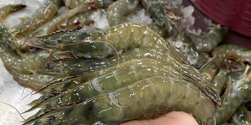 Guatemala ya puede exportar camarón a Nicaragua