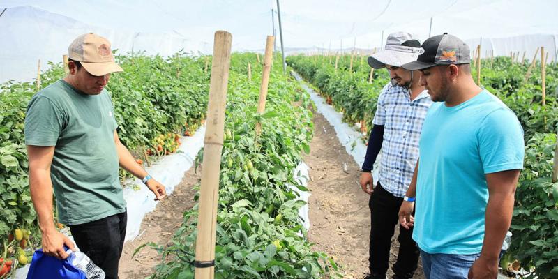 Horticultores de oriente adquieren nuevos conocimientos tecnológicos