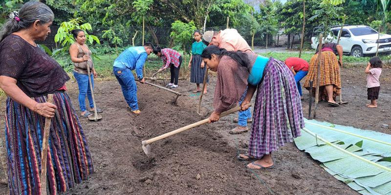 Huerto comunal fortalecen agricultura familiar campesina en Ixcán