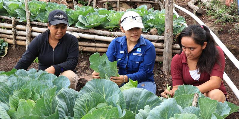 Huertos comunitarios, una semilla de bienestar para las familias guatemaltecas