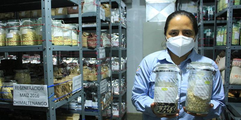 La importancia de los bancos de semillas