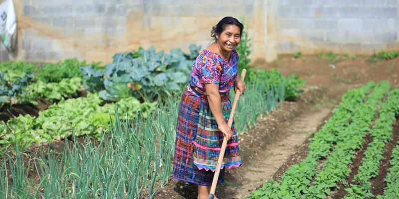 Los huertos comunitarios fortalecen a las familias rurales
