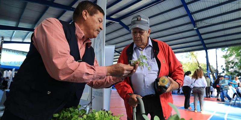 Los huertos familiares son una alternativa para la alimentación y bienestar de los adultos mayores