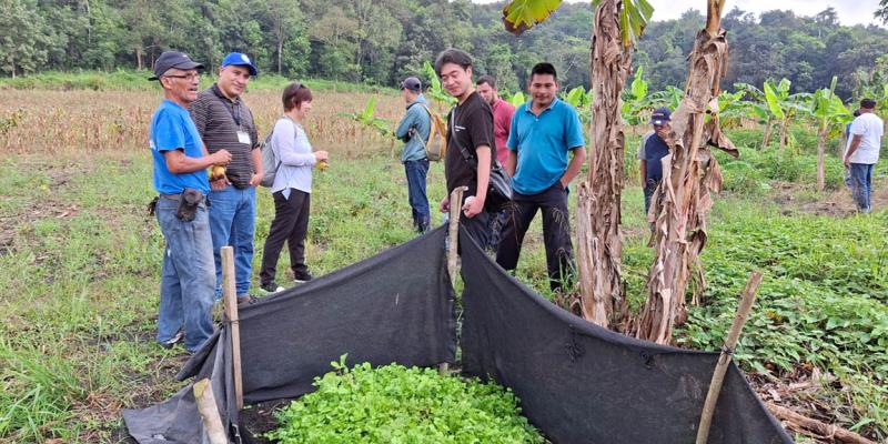 Productores fortalecen su participación en la alimentación escolar en Petén