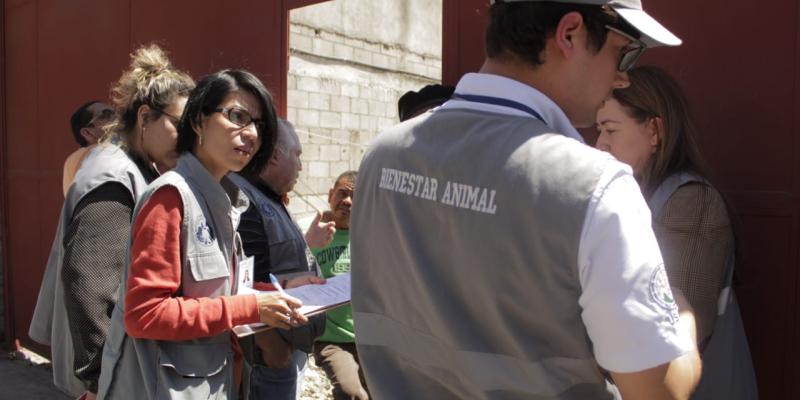 Se atiende de forma inmediata caso de perro maltratado en Mixco