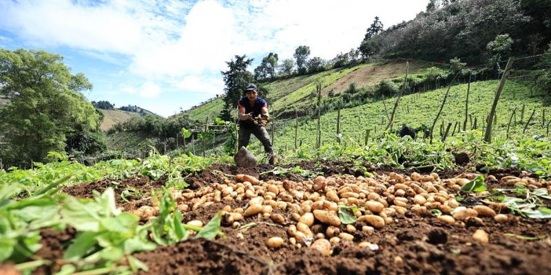 Transparencia en la gestión del Crédito Tob’anik