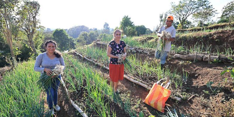 Los huertos comunitarios: una oportunidad para cultivar y mejorar la vida de las familias