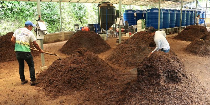 Abono orgánico, una práctica que mejorar la fertilidad del suelo