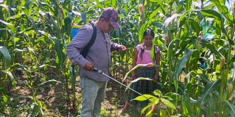 Brindan asistencia técnica para mejorar cultivos en Zona de Adyacencia