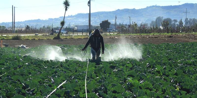 Emitidos más de 1600 Permisos de Importación de Insumos Agrícolas
