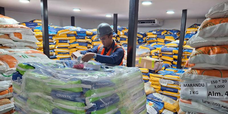 Exportación de semillas ingresan Q78 millones a la economía del país