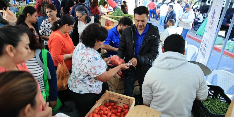 Inauguran la Feria del Agricultor en la ciudad capital