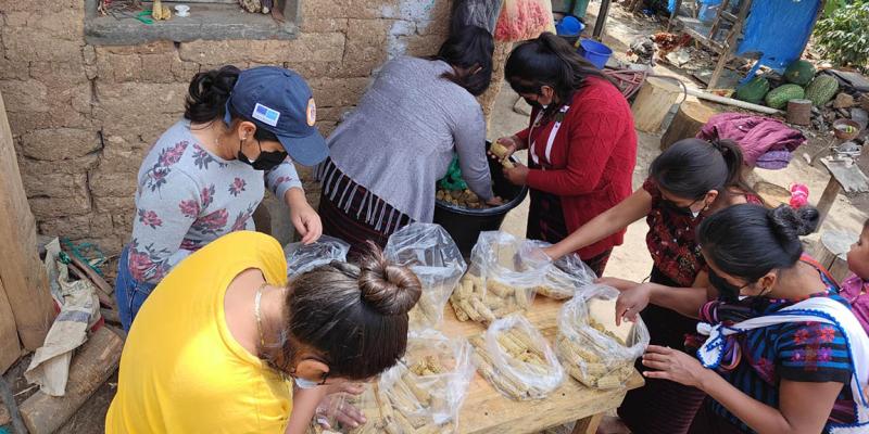 Integrantes del CADER aprenden a cultivar hongo ostra