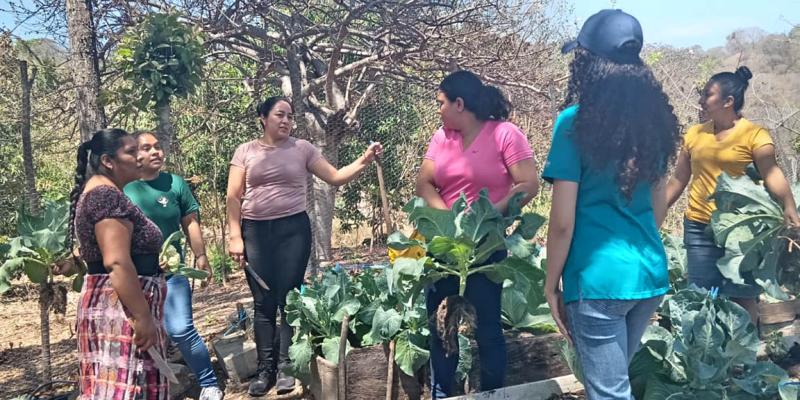 La Agricultura Familiar es clave para el acceso a los alimentos y la economía rural