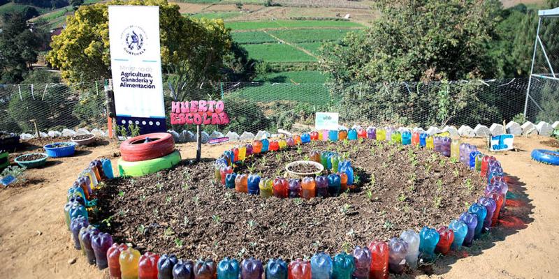 Los Huertos Escolares Pedagógicos fomentan la agricultura familiar en Zacapa