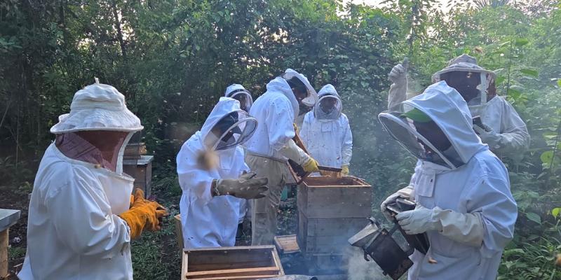 Productores de Sayaxché reciben diplomado en apicultura