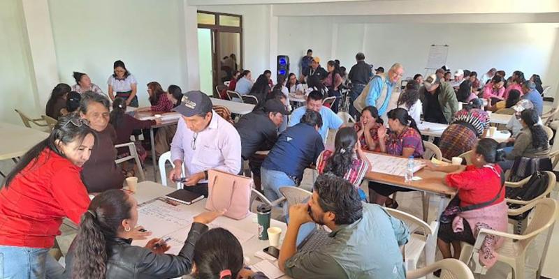 Productores de hongo ostra destacan durante encuentro regional