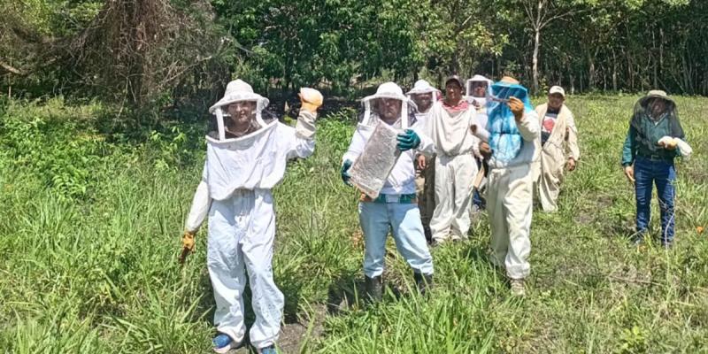 Productores fortalecidos en Buenas Prácticas Apícolas