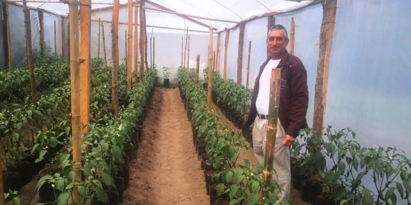 Reactivación y modernización de la actividad agropecuaria claves para el desarrollo