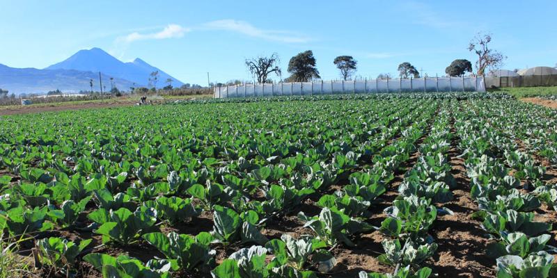 Se aleja el frío, ingresa la temporada de calor y lluvias