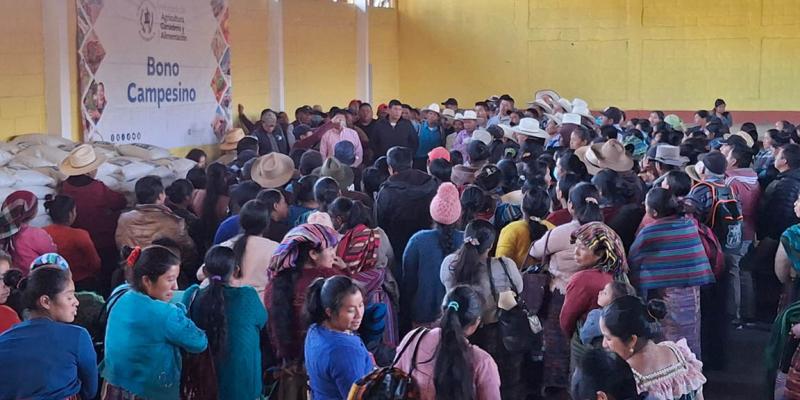 Semillas criollas llegan a más de mil agricultores y agricultoras gracias al Bono Campesino 
