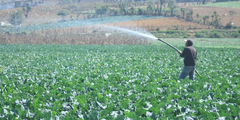 ¿Qué debe hacer el sector agrícola ante las altas temperaturas?