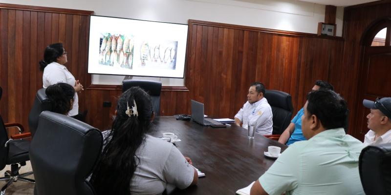 Avanza conservación del Pez Blanco en Petén