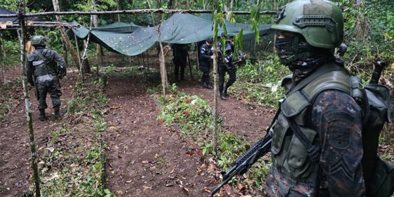 Ejército de Guatemala erradicó 318 mil arbustos de coca en Alta Verapaz.