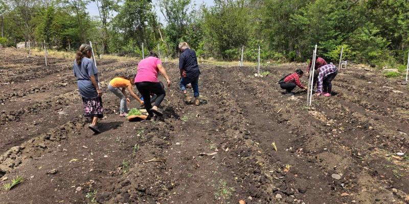 Implementan huerto comunitario en Río Hondo