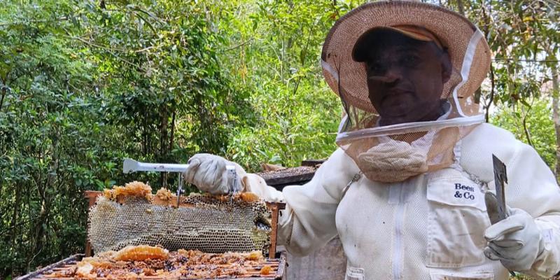 Asistencia técnica fortalece la producción apícola de San Andrés, Petén