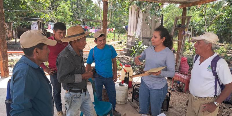 Capacitación técnica especializada fortalece sector apícola de Petén 