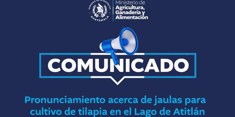 Comunicado 3-2025 | Pronunciamiento acerca de jaulas para cultivo de tilapia en el Lago de Atitlán