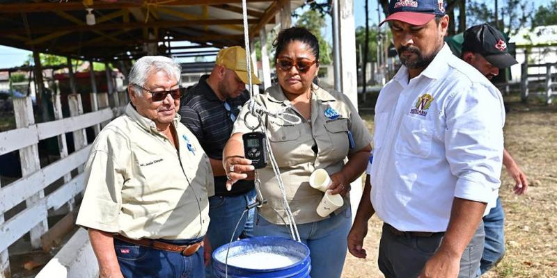 Concurso resalta el potencial del hato lechero en Petén