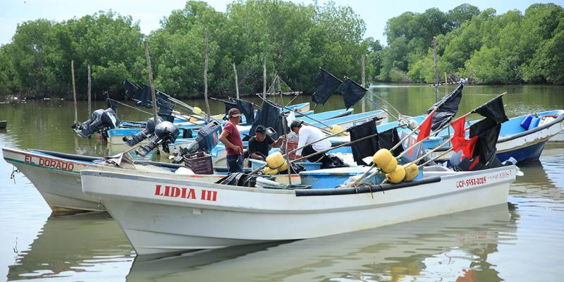 Decretan veda temporal para varias especies en el Atlántico