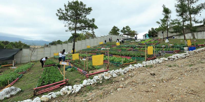 Estrategia AGROVIDA fortalecerá el desarrollo comunitario