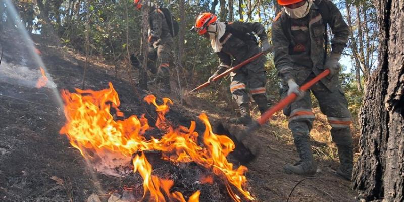 Ejército de Guatemala ha realizado 173 operaciones de supresión de incendios forestales durante el 2025. 