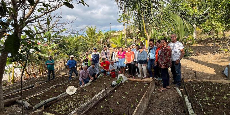 Huertos comunales fortalecen agricultura familiar de Chiquimula