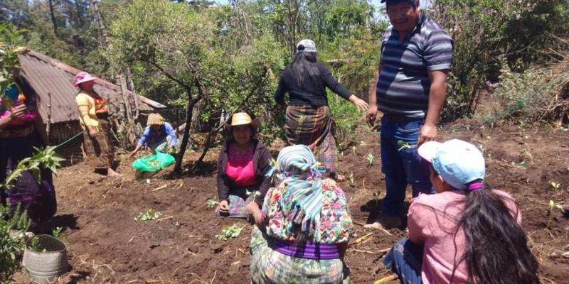Implementan huerto comunitario en aldea Agua Tibia, San Marcos