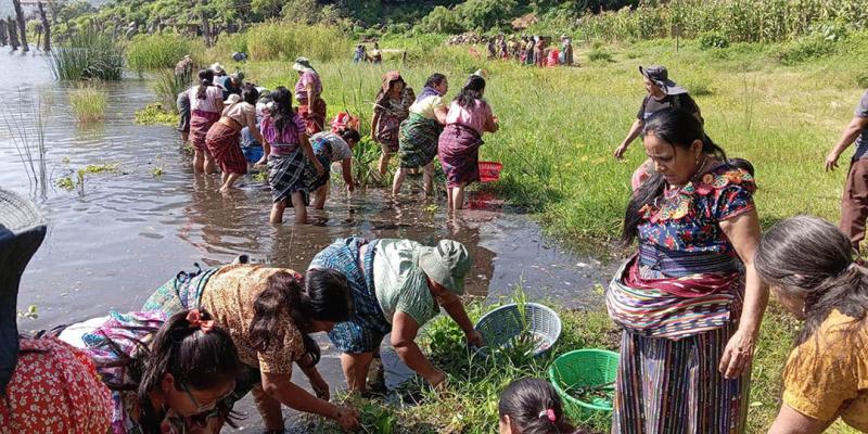 Más de siete mil familias participaron en proyectos comunitarios y recibieron alimentos como incentivo