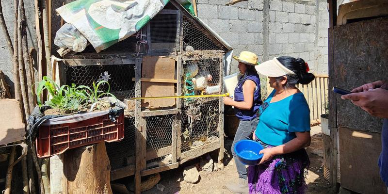 Proyecto comunitario de gallineros en Santa Lucía Milpas Altas