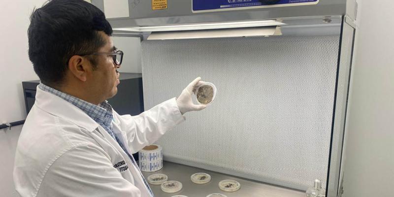 Realizados más de tres mil diagnósticos fitosanitarios 