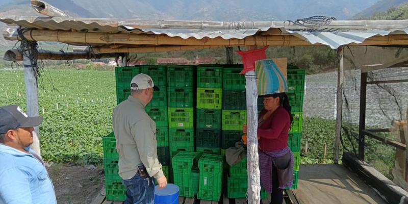 Registrados más de 36 mil productores orgánicos