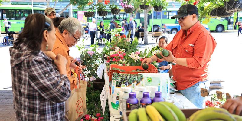 Un desfile de colores comestibles en cada canasta